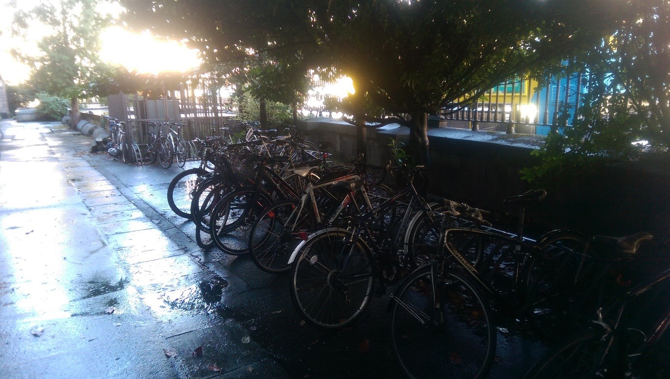 Bike Parking Healthy Trinity Trinity College Dublin